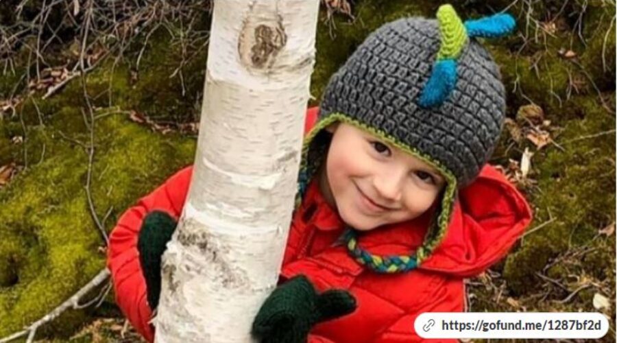 Fundraiser in memory of 5-year-old boy nears $45,000
