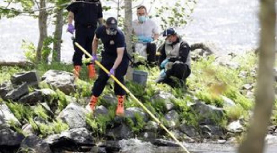 Blue-green algae likely cause of illness and death from Halifax lake