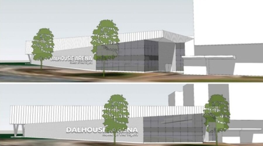 Dal Tigers hockey getting new rink