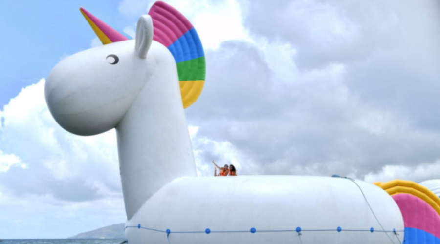Inflatable water park not coming to Lower Sackville