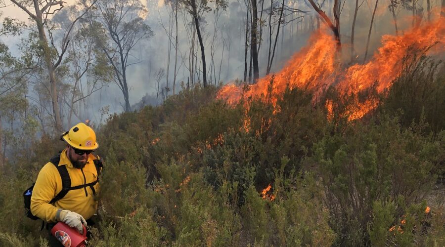 Halifax hit with special air quality statement due to wildfire smoke
