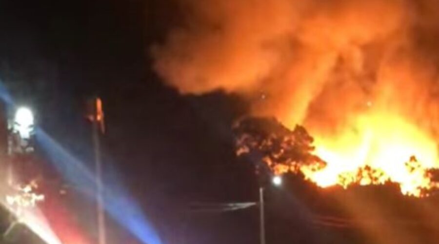 Massive fire at Lumber Plant devastating for 100 workers