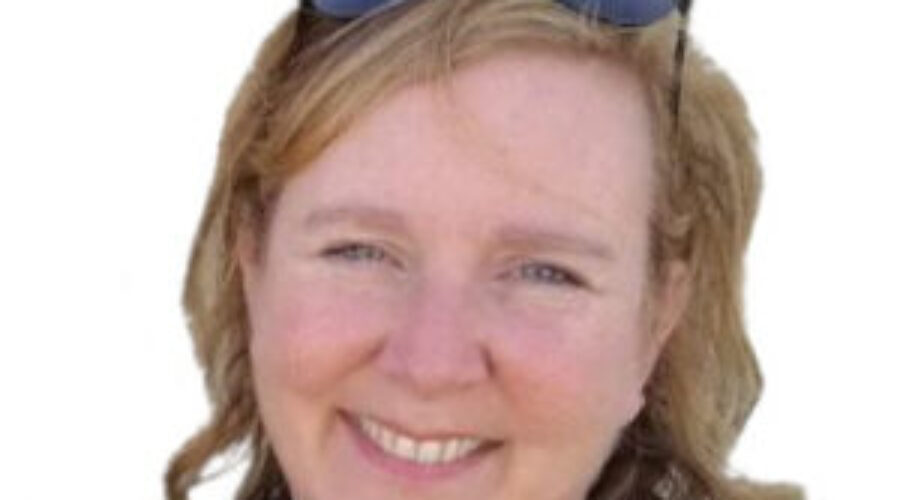 Green Party to join provincial election race