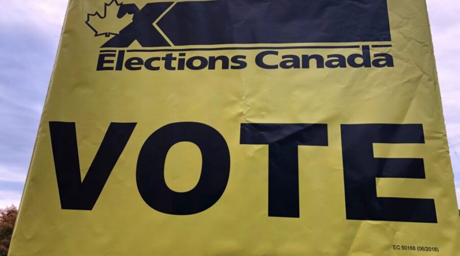 Election day 24: vaccine passports, rent control, and fertility treatments