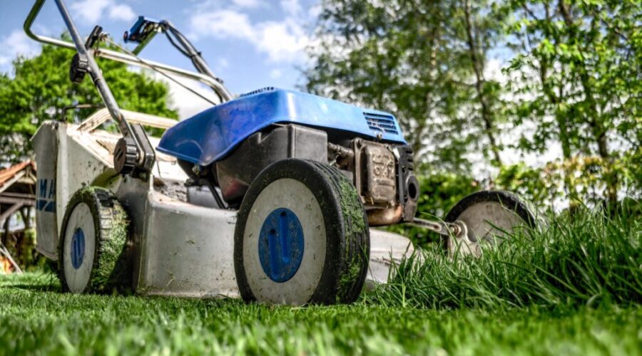 Fake landscaping company dupes seniors out of cash