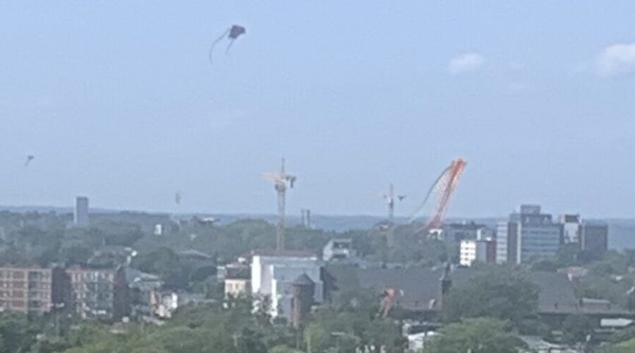 Flying high again!