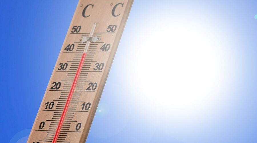 Halifax under heat warning due to hot and humid weather