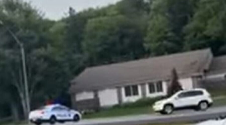 Driver of runaway Tiguan turns himself in