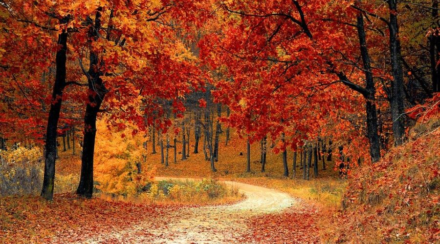 Warmer temps sticking around until December