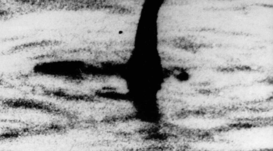 Is That Nessie?