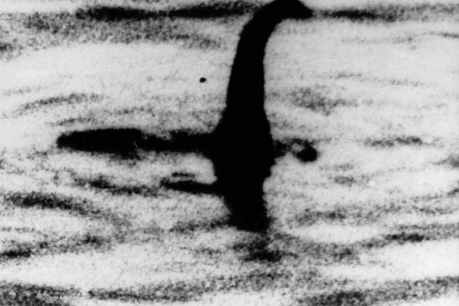 Is That Nessie?