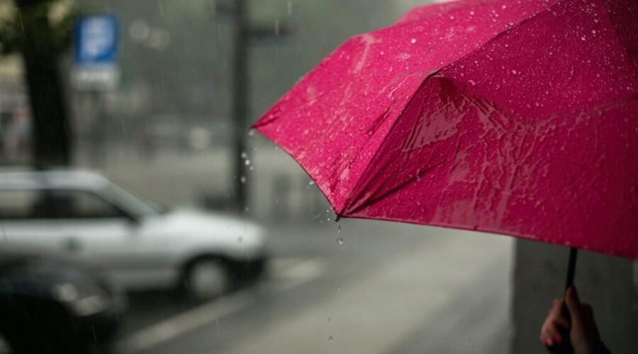 Rainfall warning out for Halifax