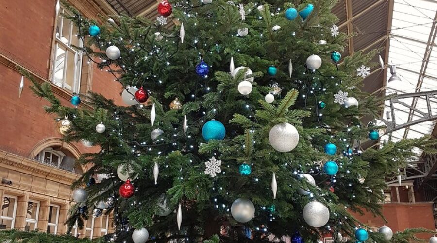 IKEA Won’t Sell Christmas Trees This Year