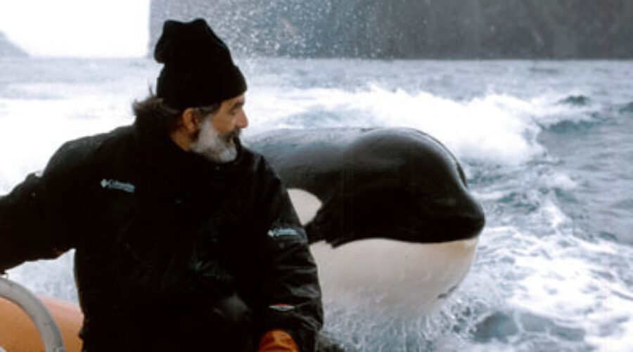 Whale sanctuary opens visitor centre