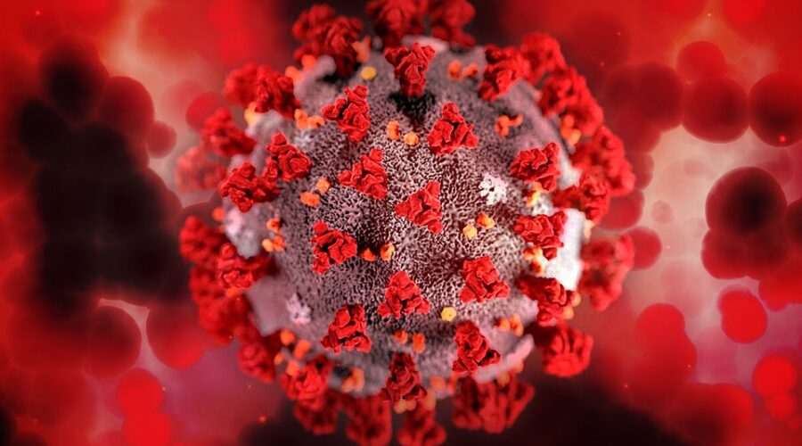 Potential COVID-19 exposure list (November 25th)