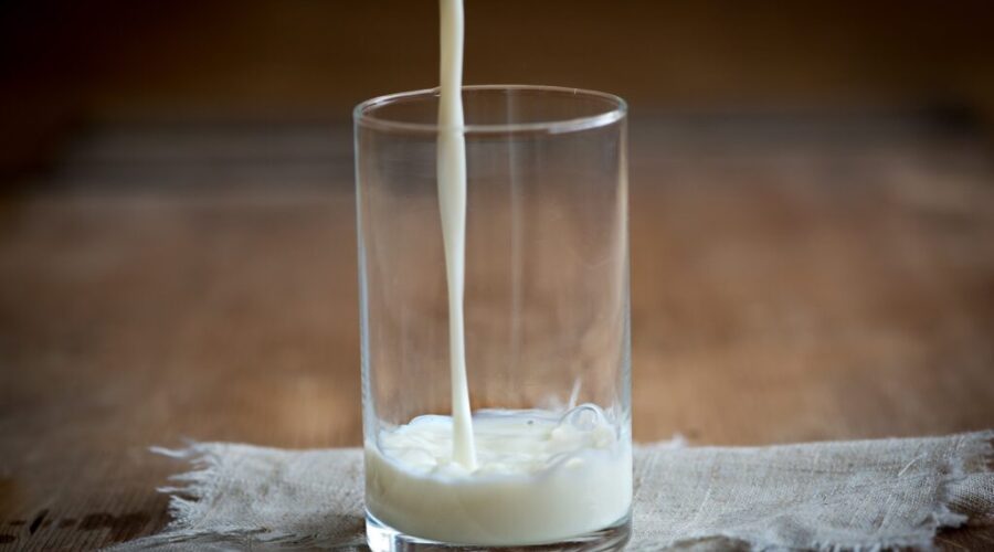 Dairy prices could spike in the New Year