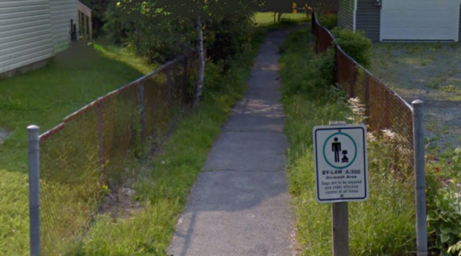 Woman sexually assaulted on Dartmouth path