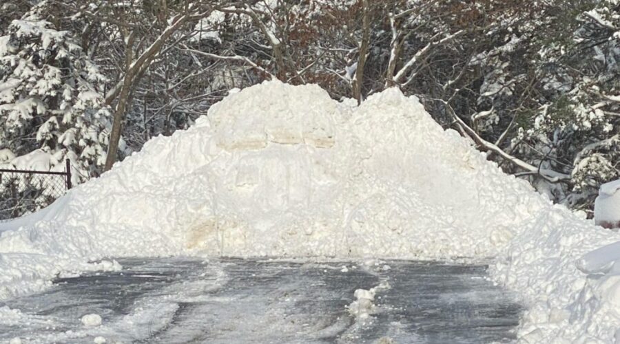 Blast of winter brings nearly 40 cm of snow to Halifax