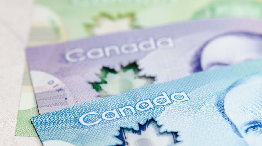 Feds Double Checking CERB Verification