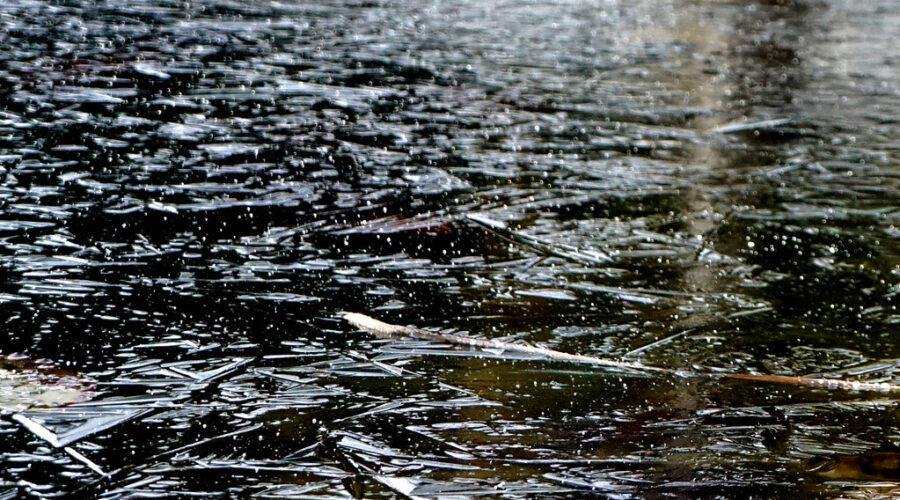 Halifax police warn people to stay off the ice