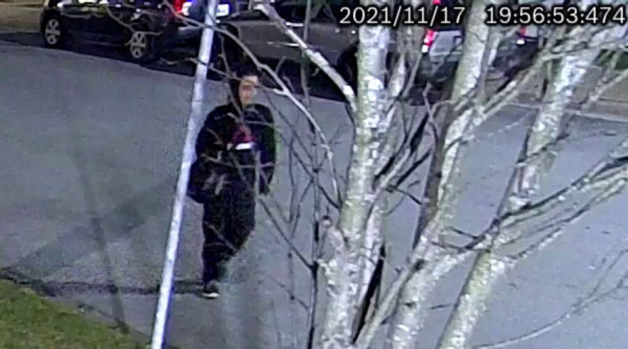 Police release footage after car stolen and burned
