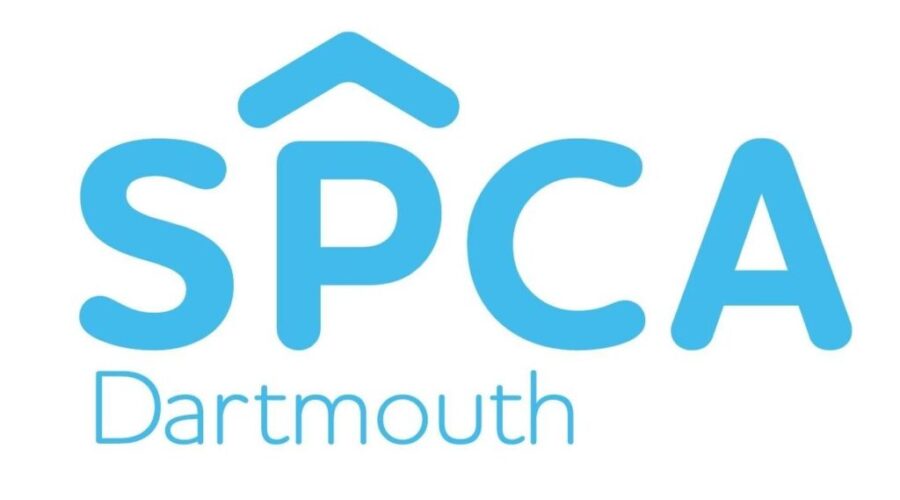 Man charged with animal cruelty after dead cat found in Halifax