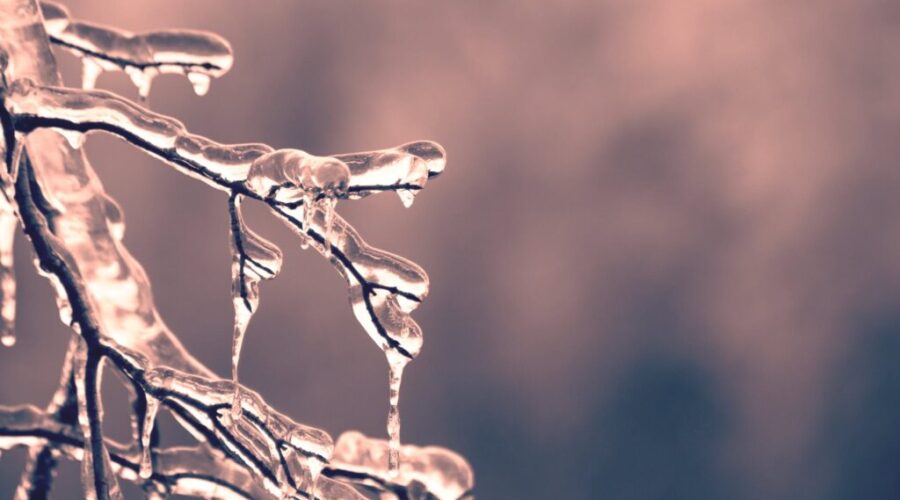 Halifax under freezing rain warning ahead of messy winter storm