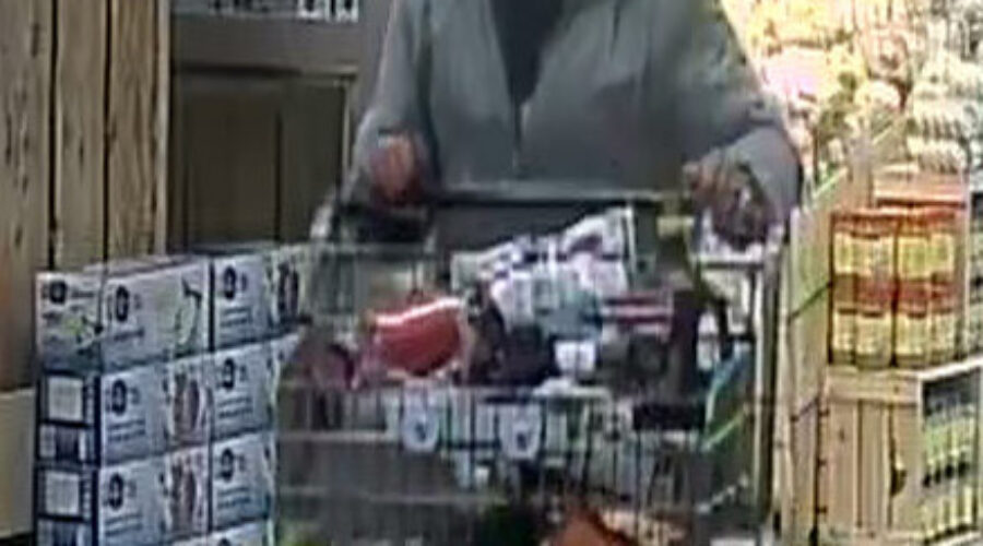 Police look for two women after they got groceries and stole cab