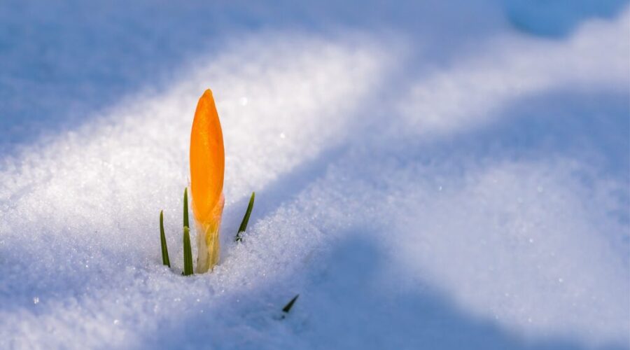 Nova Scotia’s spring forecast predicts winter storm risk