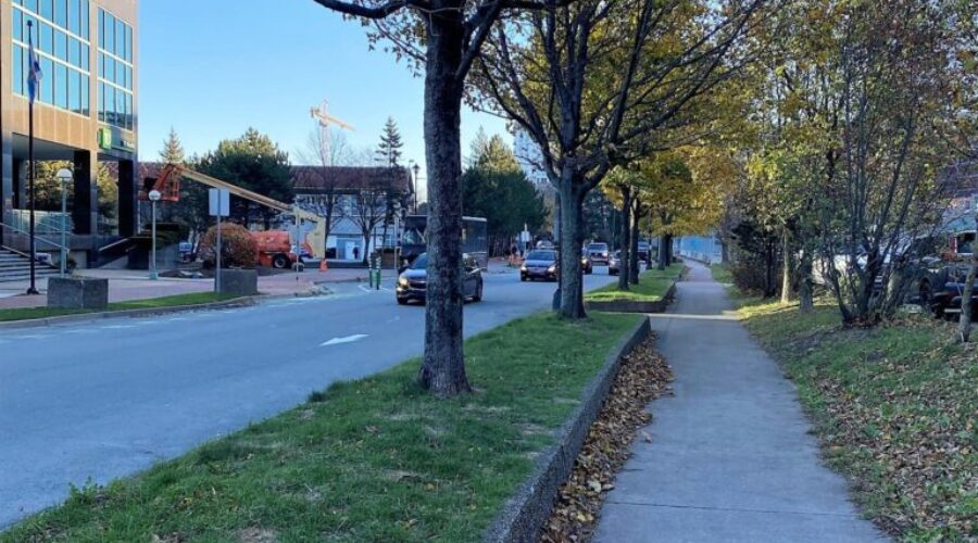 New Water Street designs put transit and pedestrians first