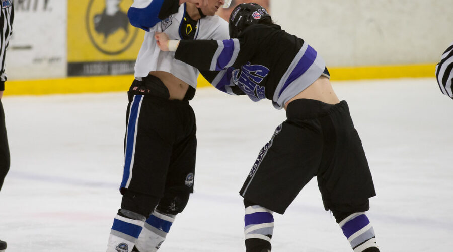 Hockey Prize Fighting Tournament To Hit Edmonton