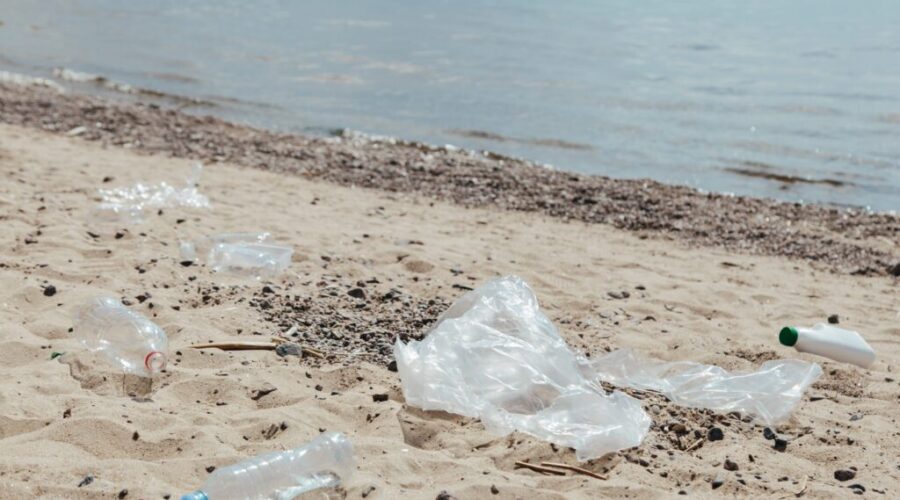 New litter tracking app helping to clean up Halifax
