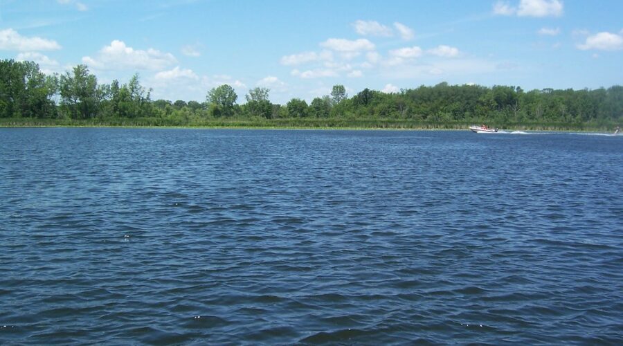 31-year-old found after drowning in Halifax area lake