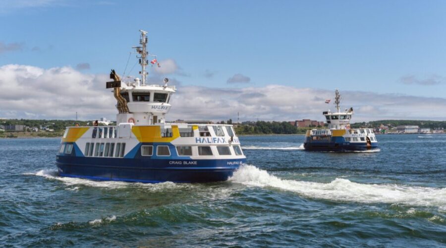 Halifax to offer free transit rides every Friday this summer