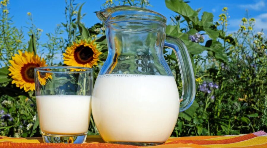 Dairy Farmers Requesting Second Milk Price Increase For 2022