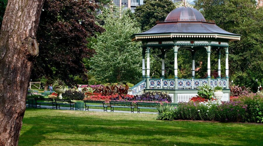 Trees in Halifax Public Gardens damaged by axe in ‘senseless act’