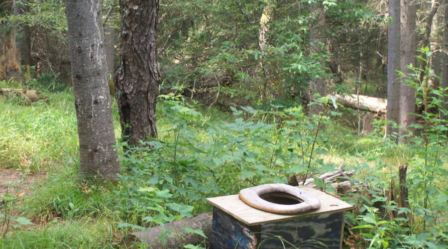 3 ways to avoid flushing your toilet this weekend
