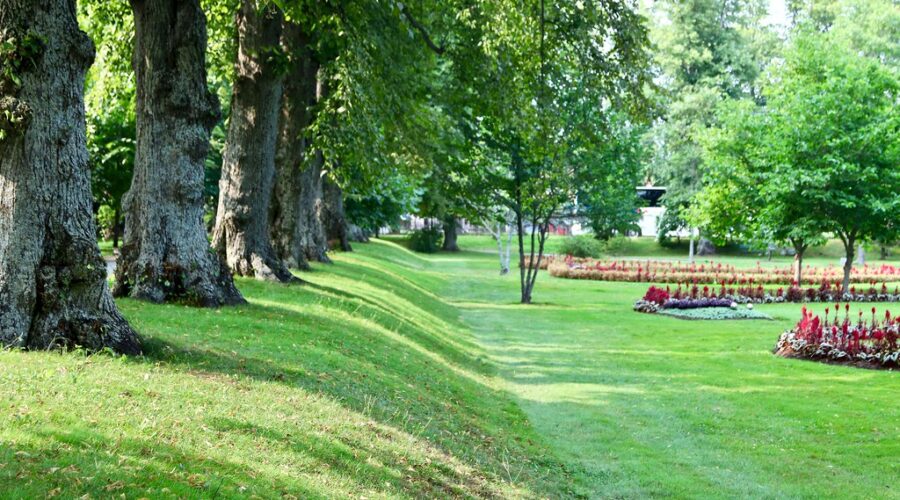 Reward to find who damaged 32 trees at Halifax Public Gardens
