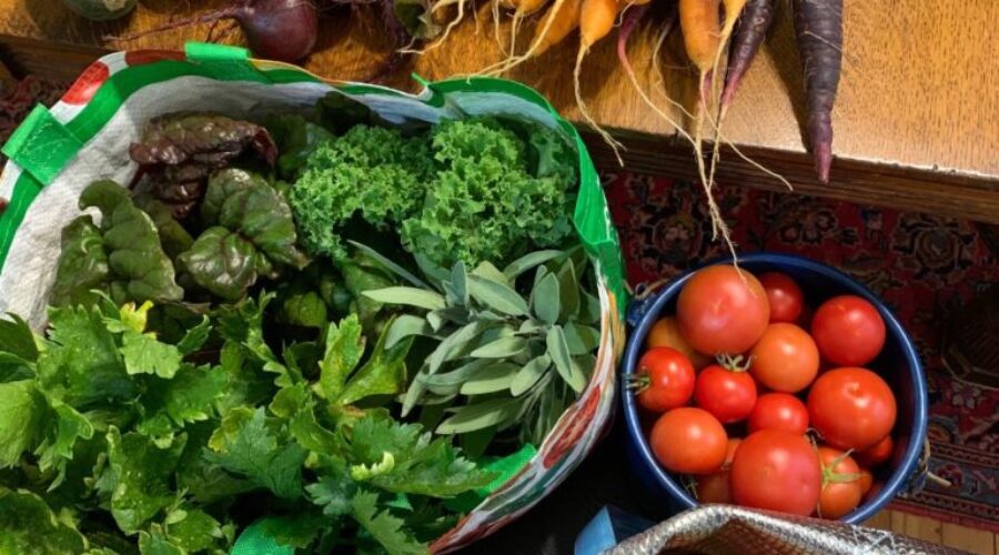 Public Engagement on Food and Beverage Strategy