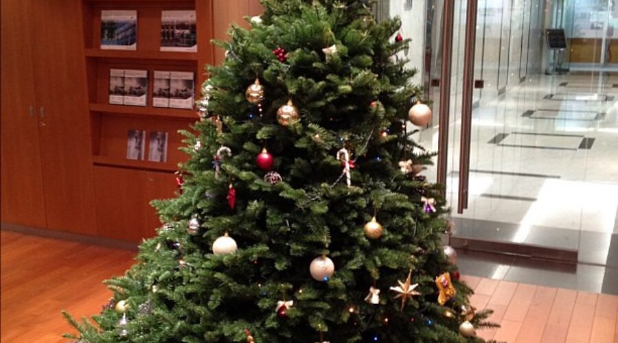 Survey Asks Christmas Trees, Real Or Artificial?