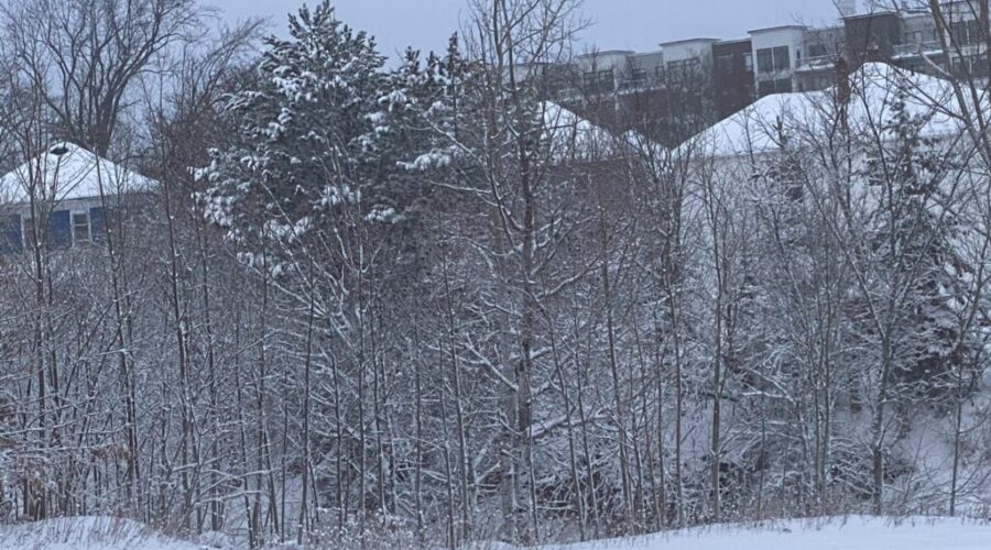 Snowfall Warning Issued For All of Nova Scotia