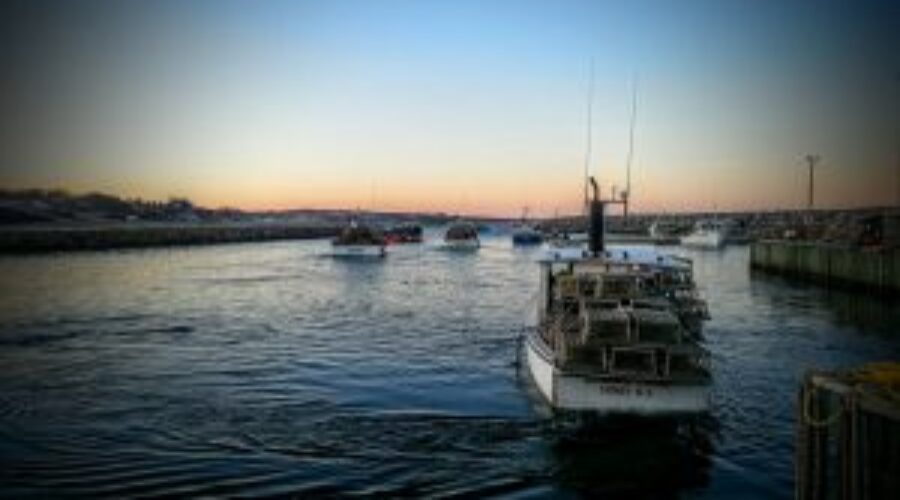 Sportfishing Free This Weekend in NS