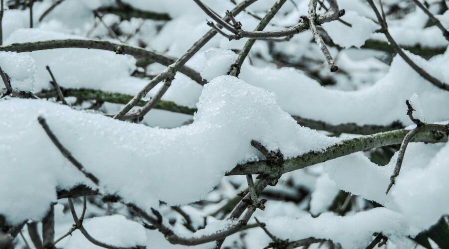 Snow/rain mix expected for N.S. today