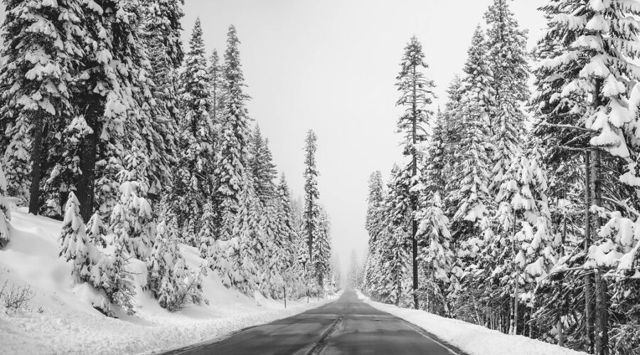 Forecaster predicts normal March despite early snowfall