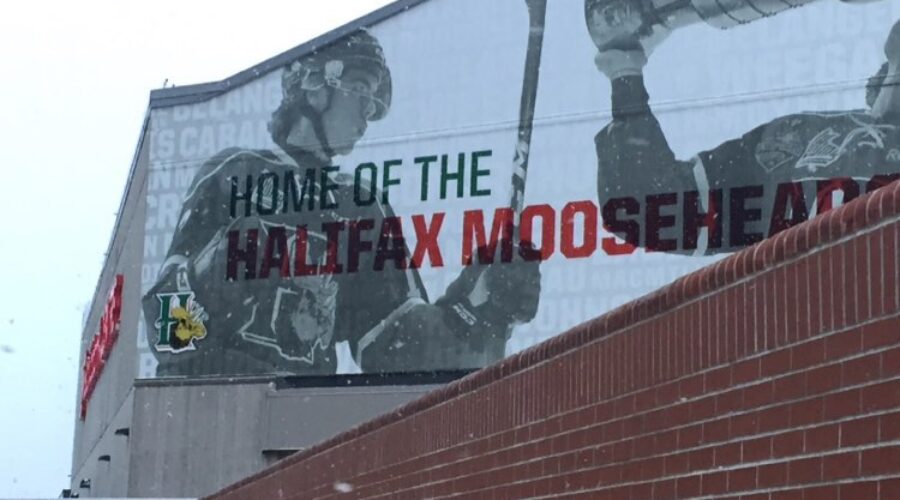 Mooseheads and Wildcats split first 2 games