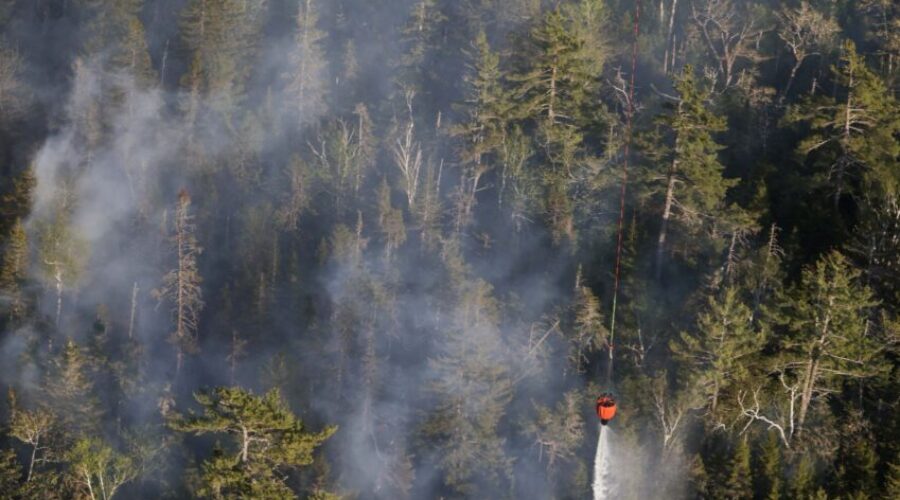 Department of National Defence assisting with firefighting efforts in Tantallon