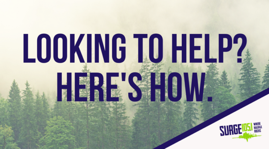 10 Ways You Can Help During The Wildfires