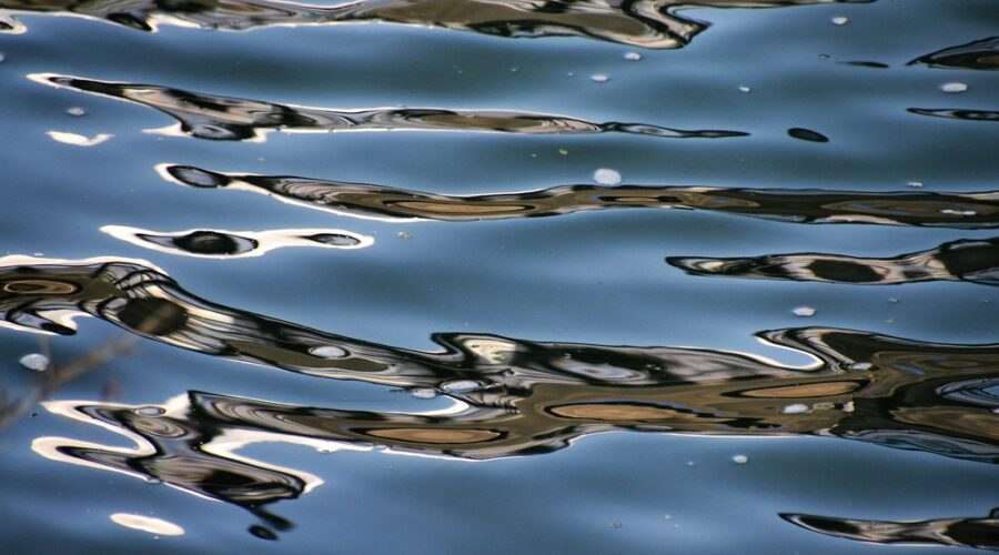 Study finds that E. coli in First Lake caused by human waste