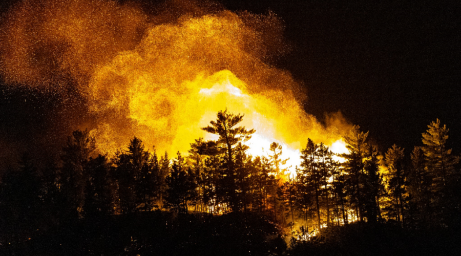 Record forest fire season expected to worsen
