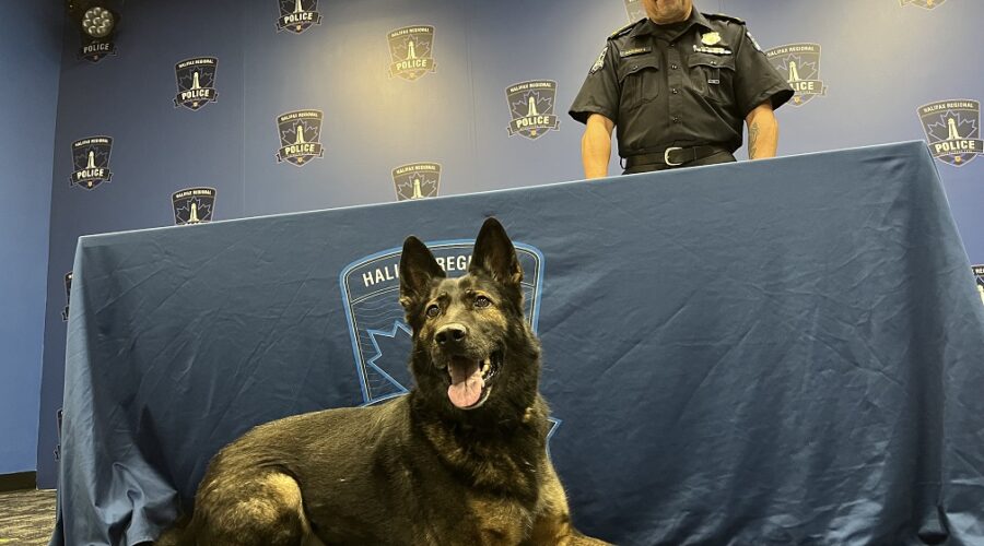 Three animals sworn into Halifax Police force